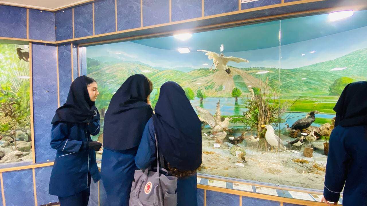 دبیرستان دخترانه دوره اول راه فرزانگان